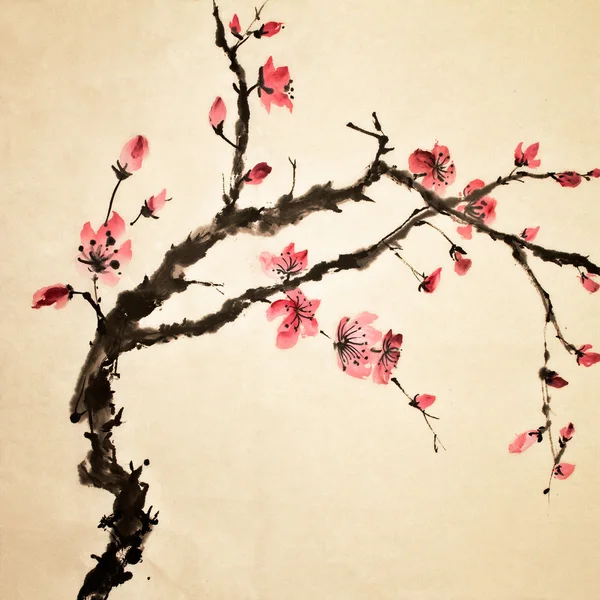 Китайский цветок Стоковое Изображение