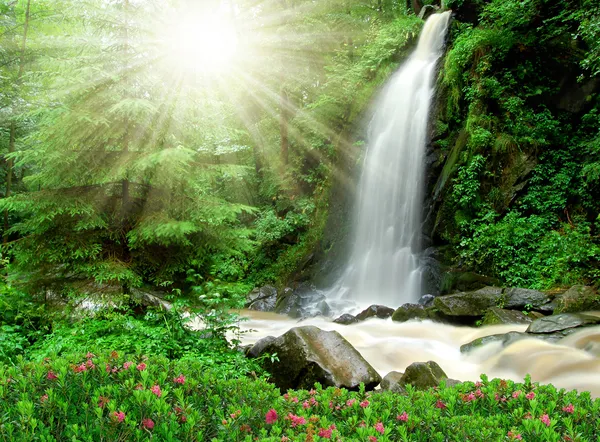Красивый водопад - Чешская Республика — стоковое фото