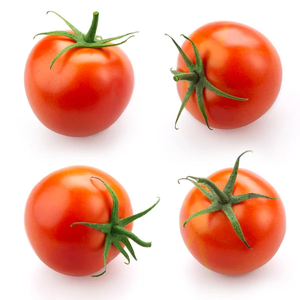 Набор помидор, изолированные на белом фоне — стоковое фото