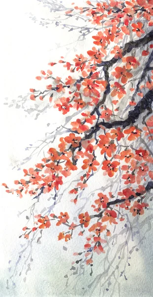 Акварельная живопись. ветви вишни расцветов Лицензионные Стоковые Изображения