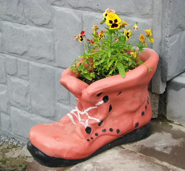Цветочный горшок в форме обуви с цветущими цветами Стоковое Фото