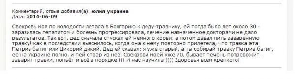 Цикорий дикий: описание, польза и вред, рецепты, отзывы. 