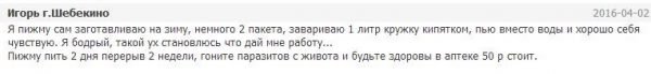 Пижма обыкновенная – описание, польза и вред, рецепты, отзывы. 