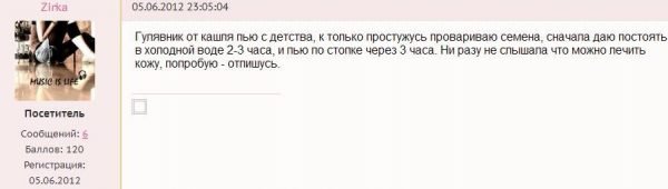 Гулявник лекарственный – описание, польза и вред, рецепты, отзывы. 