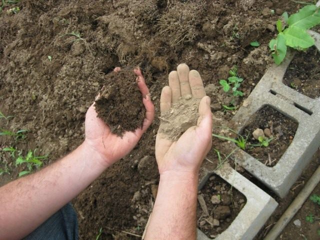 ЭМ-препараты ускоряют процессы гумусообразования, увеличивая количество гуминовых кислот, необходимых растениям