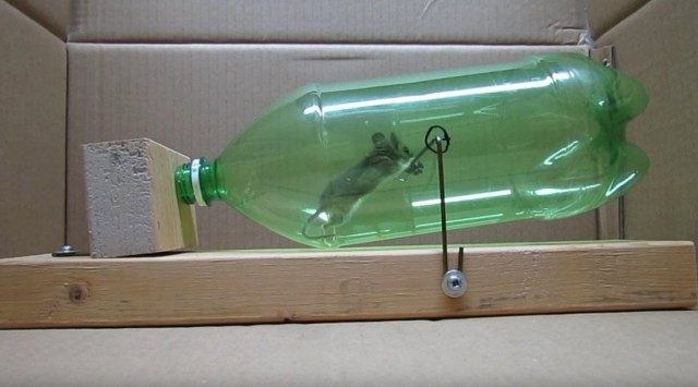 Мышеловка из бутылки Мышеловка из бутылки