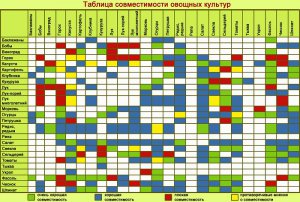 Таблица совместимости растений