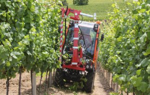 Технологическая замена ручного ухода за саженцами винограда