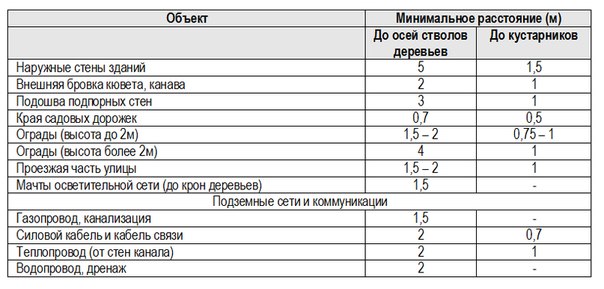 деревья и кустарники вдоль забора и дорожек